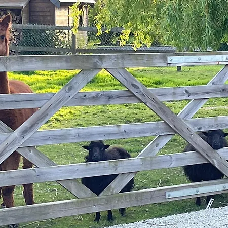 Aux Murmures De La Nature