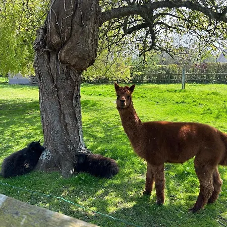 Frühstückspension Aux Murmures De La Nature
