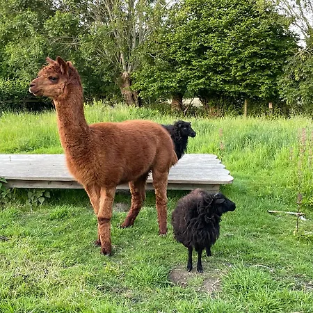 Aux Murmures De La Nature 4* أونفلور