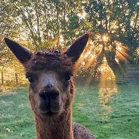 Aux Murmures De La Nature