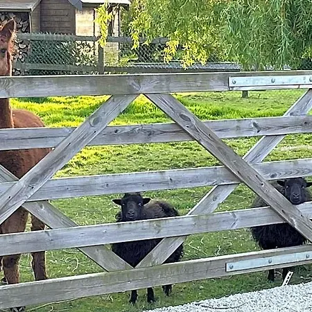 Frühstückspension Aux Murmures De La Nature 4*