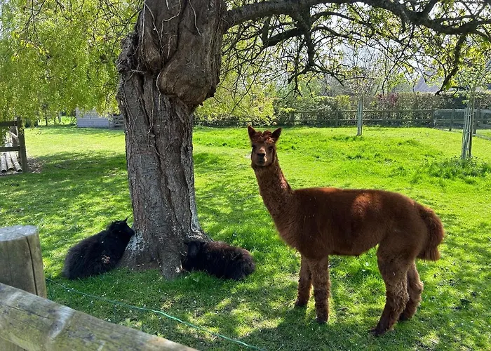 Nocleg ze śniadaniem Aux Murmures De La Nature