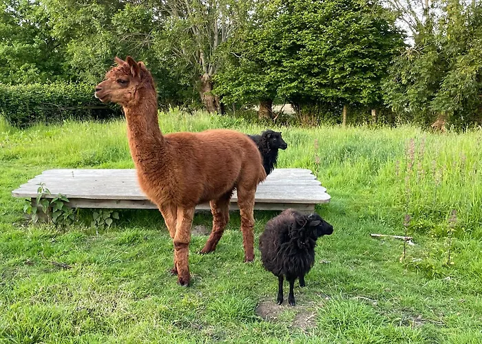 Aux Murmures De La Nature 4* Honfleur